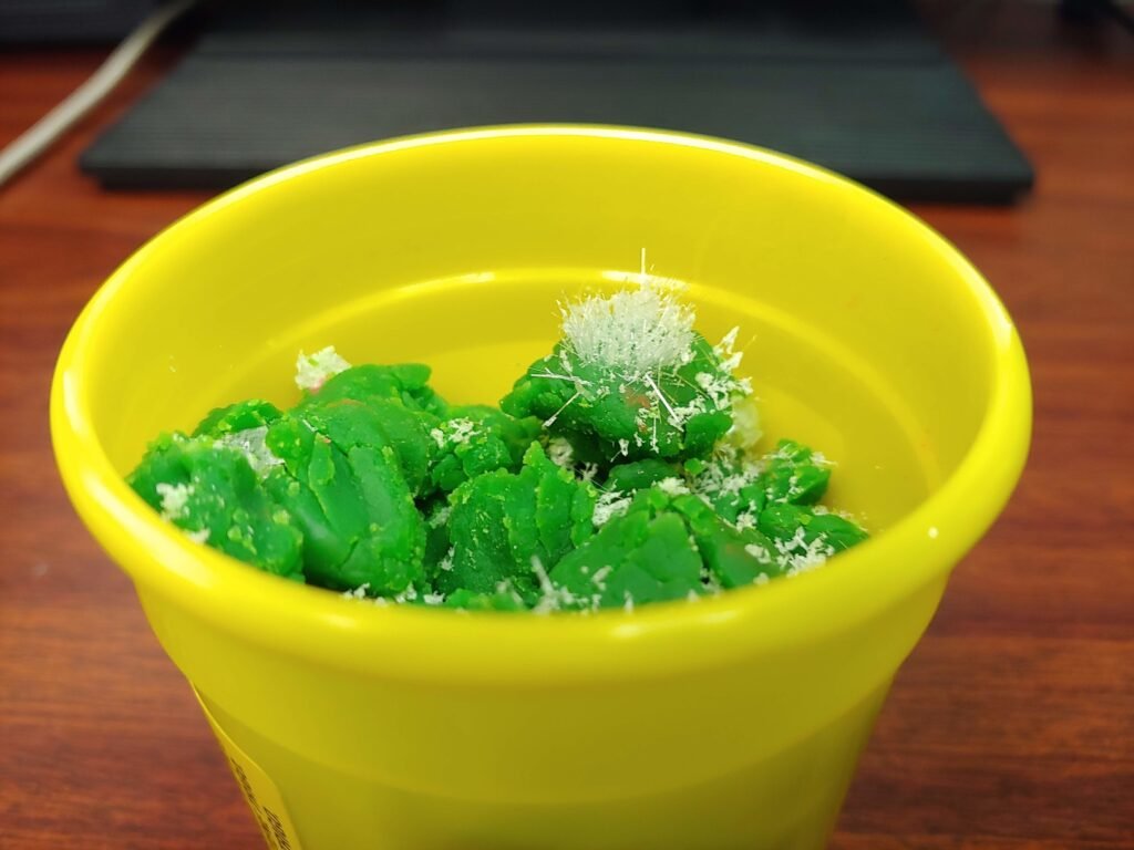 play dough crystals green