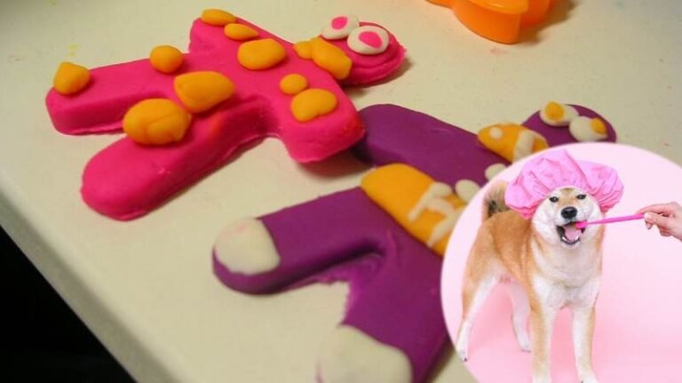 What Can You Do If Your Dog Eats Play-Doh? Easy Tips!